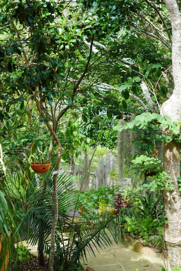 El Paraiso Posada Finca San Vicente Barichara Extérieur photo